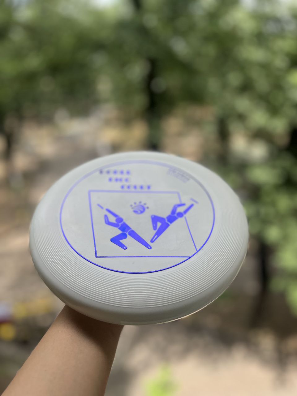 دبل دیسک فریزبی