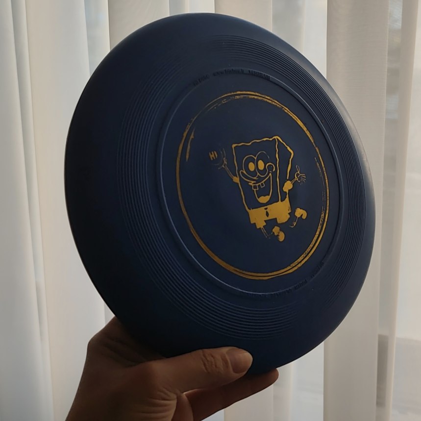 دیسک  فریزبی مخصوص کودک هایدیسک