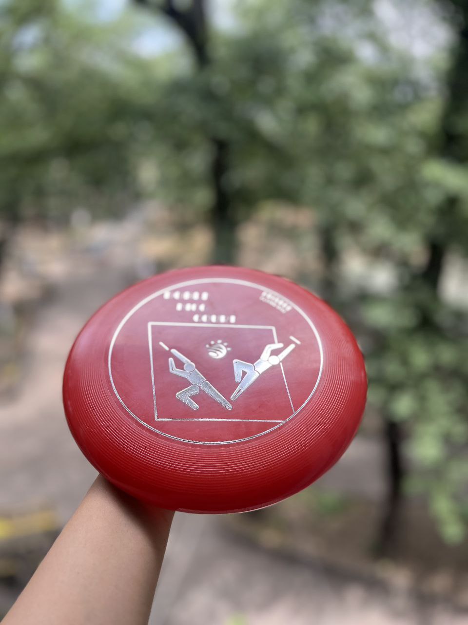 دبل دیسک فریزبی